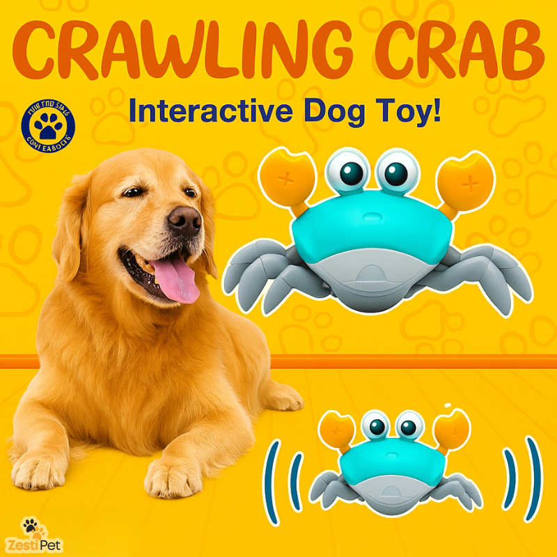 ZestiScuttle™ Crawling Crab