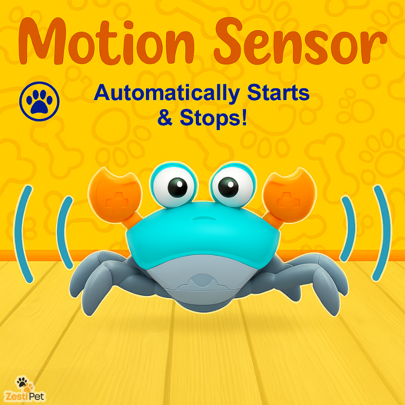 ZestiScuttle™ Crawling Crab